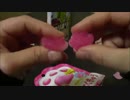 駄菓子を食べる（音フェチ）