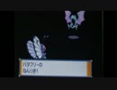 ぽけもん日記part5