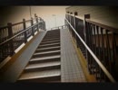【音痴だけど歌ってみた】造花の距離感【黒仔豚】