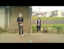Bad Apple!!を躍らせていただきました。【紫陽花&フジハ】