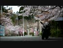 カワサキか とは カワサキカとは 単語記事 ニコニコ大百科