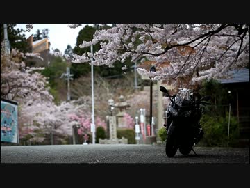 【カワサキか・・・】刺激や興奮は、時も場所も選ばない。【Ninja1000】