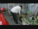 おじいちゃんの日常②【仏壇に花を供えよう】