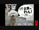 IT企業社員が心の叫びを社歌にしてみた【会社公式】
