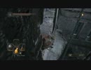 ジャンキーが更なる快感求めダークソウル２、実況してみた！【part38】