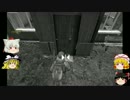 ゆっくりとDayz　№08