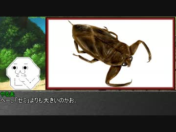 ゆっくり霊夢とやる夫が学ぶ 昆虫大百科 part18