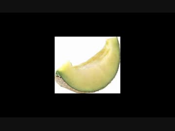 加藤純一とメロン