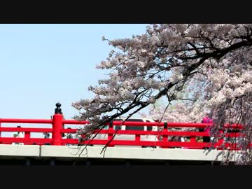 【バイク車載】春の飛騨高山行ってきた【ラジヘリ空撮】