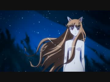AMVNews | seriy - The Fox (Big Contest 2014)