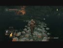 【初見】　社畜ソウル　社畜77日目【ダークソウル2】