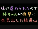 妹が虐められたので、姉ちゃんが復讐に本気出した結果ｗｗｗ【2ch】