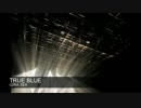 【GCW】LUNA SEA『TRUE BLUE』【カバー】