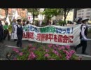 4/26 河野談話破棄を求める国民大行動 in大阪 ⑤