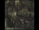 【高音質】洋楽メタル紹介【867】　Emperor - The Loss And Curse Of Reverence