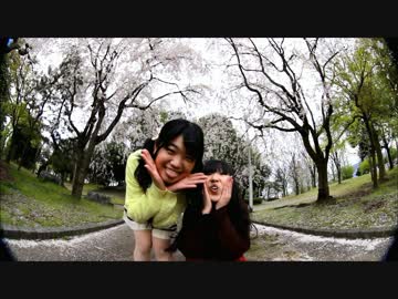 【みにぃ】メランコリック　踊ってみた【鞘ちー】