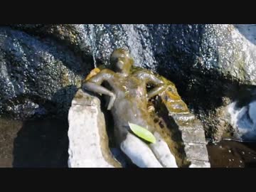 エストちゃんとコイの季節ツーリング