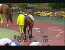 2014.4.29 園田競馬8R スマイルムービー出走
