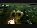 [実況]元スイマーが今更狩猟生活Part.18[MHP3]