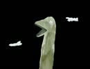 Dinosaur Tears