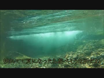 【ゆっくり釣り動画】まったり隊の渓流釣り ー１匹目ー