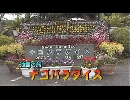 沖縄のたび ３ 「ナゴパラダイス」