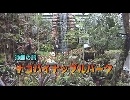 沖縄の旅 ４ 「ナゴパイナップルパーク