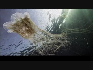 kurage-ぼくのりりっくのぼうよみ