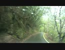 国道425号線　龍神→牛廻越　#4