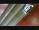 MOV_0331.mp4