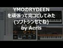 YMOのRYDEENを頑張って完コピしてみた