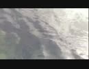 IMG_3353.MOV