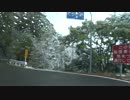 国道425号線　龍神→牛廻越　#8