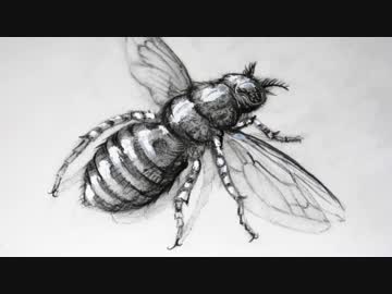 スタープラチナ