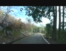国道425号線　龍神→牛廻越　#10
