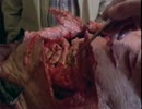 Bleeders  3/4