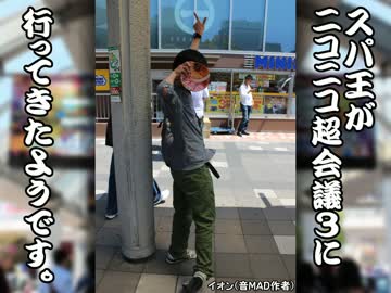 スパ王がニコニコ超会議3に行ってきたようです。