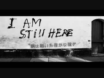 mi still here／shirayuki