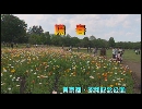 「陽春」昭和記念公園2014