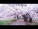 【オリジナル曲】　戦場の桜 -on vocal-　【ＮＮＩ】