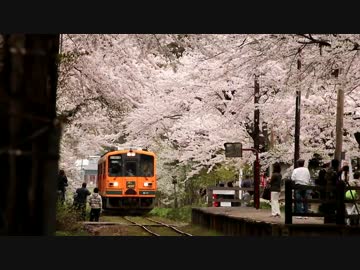 桜×鉄道2012-2014 第2版