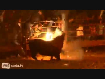 ｱﾂｩｲ スペインのゲスい牛の蝋燭プレイ Kyn ニコニコ動画