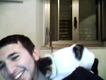 ご主人に恋している猫