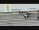 2014年5月4日金沢競馬11R 高洲山山開き特別(A-1組) ハイタッチ