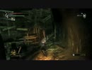 【初見】デモンズソウルを実況しながら世界を周るpart35【実況】