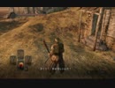 DARK SOULS 2 RTA　1:20:52　(4/8)