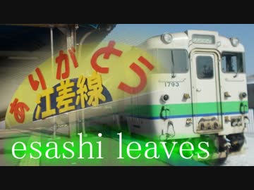 esashi leaves