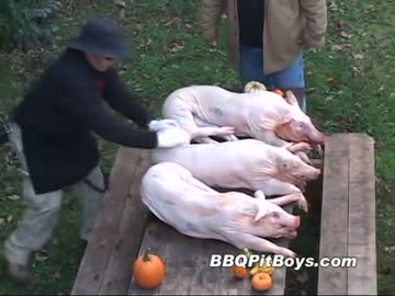BBQ　三匹のローストピッグ