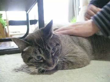 ジャンくんいつものチューとヒモ遊び