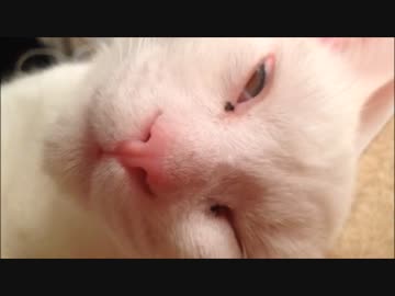 白目になってみた